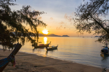 aerial view sunrise through in to the pine tree beside the beach