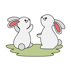 cute and little rabbits couple in grass characters