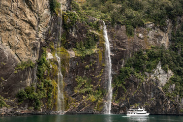 Fototapeta na wymiar long waterfall in the cliffs of Milford Sound