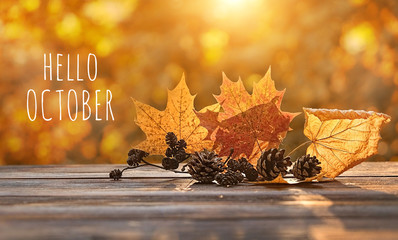 hello October. autumn leaves in sunshine. beautiful autumn composition. maple leaves and cones on rustic wood background. fall season concept. close up. shallow depth, soft selective focus © Ju_see