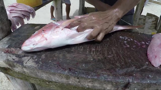 Los Roques venezuela -close up of a local Caribbean fisherman  filleting a freshly caught red snaper