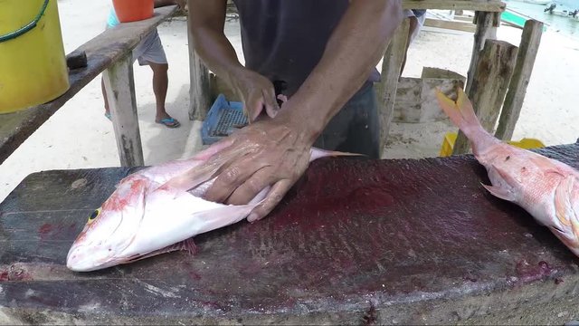 Los Roques venezuela -close up of a local Caribbean fisherman  filleting a freshly caught red snaper