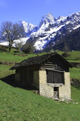 Fototapeta na wymiar Heustadel auf idyllischer Bergweiden bei Soglio