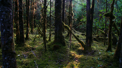 Tongass National Forest