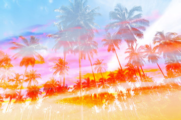Fototapeta na wymiar Coconut palm tree with vintage effect for background