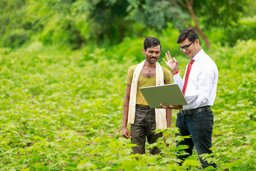 Indian farmer with agronomist at Cotton field , showing some information in laptop