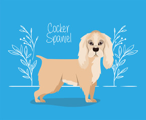 cute cocker spaniel dog pet character