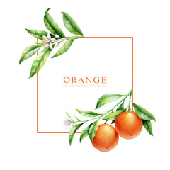 Orange tree branches frame template. Isolated layout for package design. Place for text.