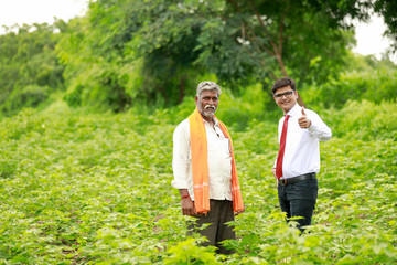 Naklejka na ściany i meble Indian Farmer and Agronomist showing thumps up in Green Cotton Field 