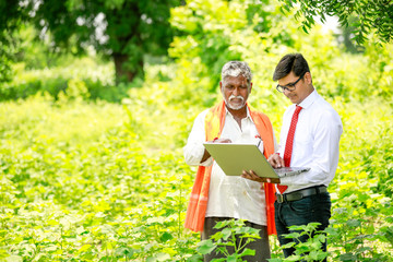Naklejka premium Indian farmer with agronomist at Green Corn Field, showing some information in laptop