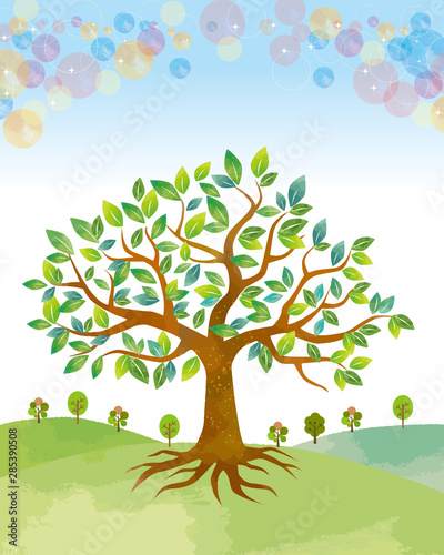 大木 木 景色 自然 エコロジー 水彩 手書き シャボン玉 背景素材 緑 Wall Mural Okaka08