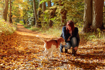 Young woman walking with a dog in the autumn park.