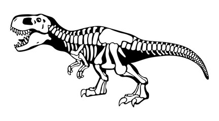 Tyrannosaurus rex bones, dinosaur skeleton monochrome illustration