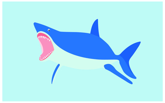 Vector illustration: toothy white shark