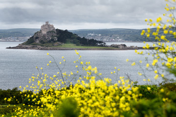St Michael's Mount tidal island in Mounts Bay from Perranuthnoe Cornwall England with yellow...