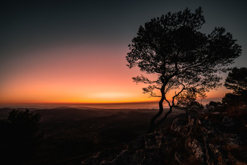 Fototapeta premium Beautiful Iland Mallorca