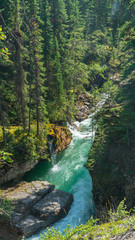 waterfall in forest