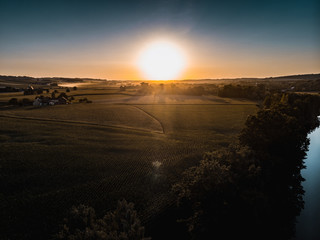 Roads and trees in the mountain