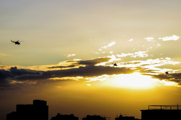Three helicopters fly over the city in the evening during sunset.