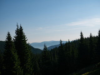 Mountain valley during sunrise / sunset. Natural summer landscape. Colorful summer landscape in the Carpathian mountains.