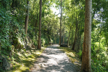 Fototapeta premium The Hell Fire Pass in Kanchanaburi, Thailand