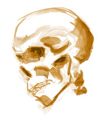 Hand drawn Marker Scull