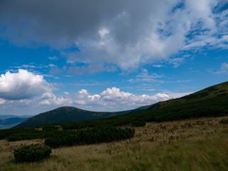 Obraz premium Mountain valley during sunrise / sunset. Natural summer landscape. Colorful summer landscape in the Carpathian mountains.