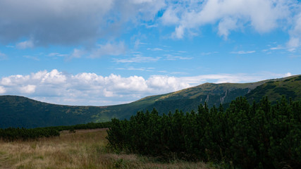 Mountain valley during sunrise / sunset. Natural summer landscape. Colorful summer landscape in the Carpathian mountains.