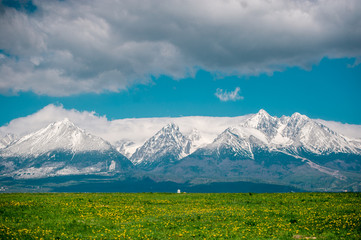 High Tatras during spring time in Slovakia. Field with yellow dandelions.