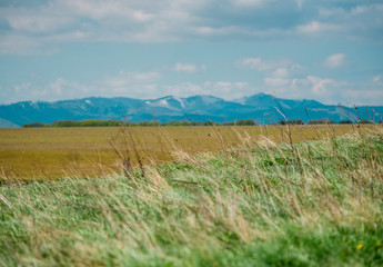 Green field meadow with high peak mountain on background located in Slovakia.