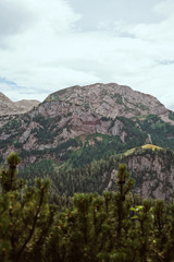 Obraz premium mountains view clouds alps nature