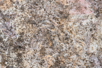 Close up of Concrete Background