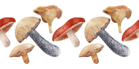Watercolor background with different kinds of mushrooms