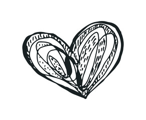 Heart for Valentine's Day. Black and white hand-drawn vector isolated illustration.