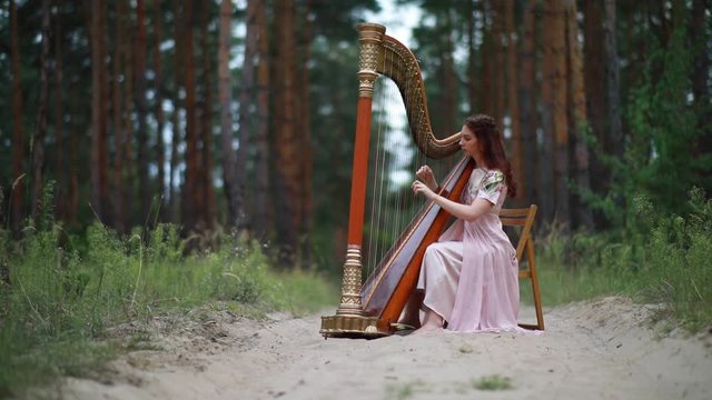 Woman harpist sits at forest and plays harps in beautiful dress against a background of pines. 