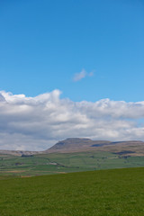 Fototapeta na wymiar Whernside in the Yorkshire Dales looking north in the Spring sunlight on an April's day with the small Hill farms on its flanks. Kirby Lonsdale, England.