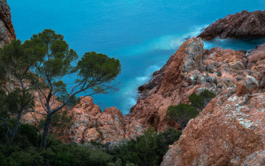 The blue bay -  Die blaue Buche