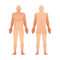 Silhouettes of man front and back view. Vector human body