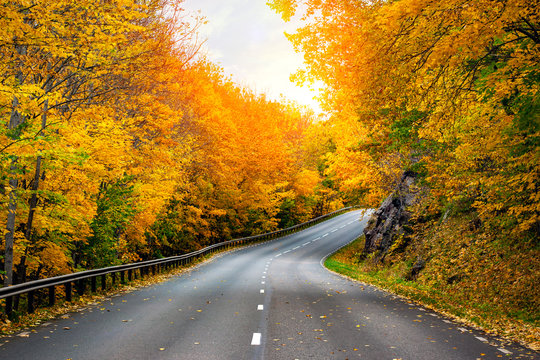 Fall Scenic Road In Sweden