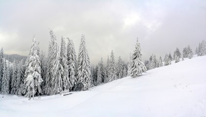 Fototapeta na wymiar panoramic winter landscape in the mountains