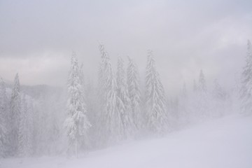 Snow blizzard on mountain