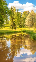 Fototapeta na wymiar Summer landscape with forest lake