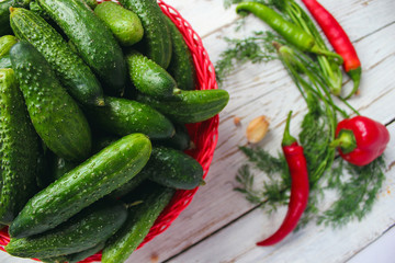 Fresh organic cucumbers in red basket  on white wooden table with green and red and chilli peppers,fennel,salt,black peppercorns,garlic,pea,close up,healthy concept,top view,flat lay