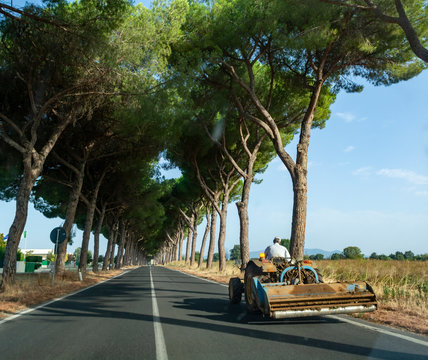 Scenic driving on new via Appia road S7 with high green  mediterranean pine trees connected Rome, Latina and Terracina