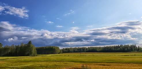 summer field, forest on the horizon and clouds - 285409567