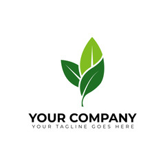 Leaf logo template, leaf vector icon