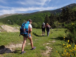groupe de randonn&eacute;e randonneurs en foret for&ecirc;t et entraide