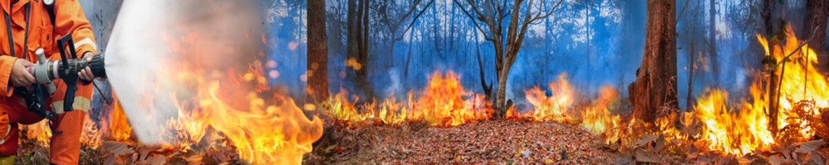 Amazon rain forest fire disaster is burning at a rate scientists have never seen before.