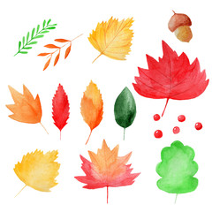 Set of bright autumn leaves. Made in  watercolor