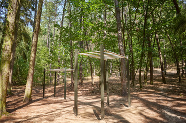 Pull up bars in a forest, outdoor gym equipment